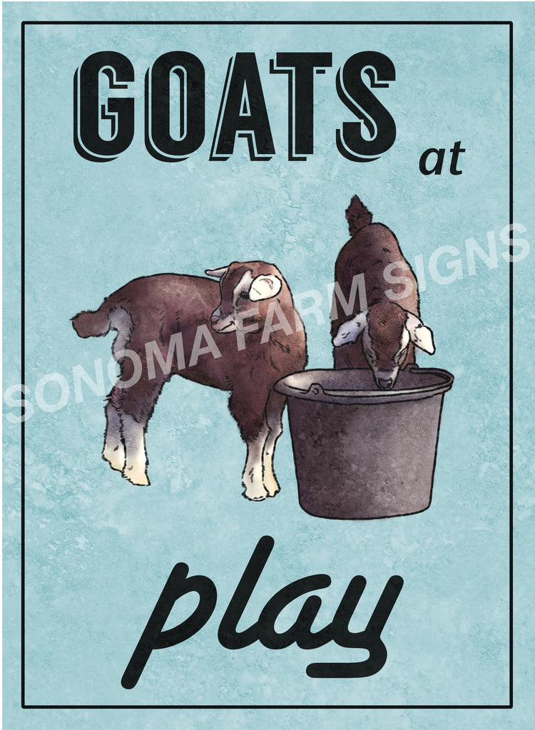 Goats at Play