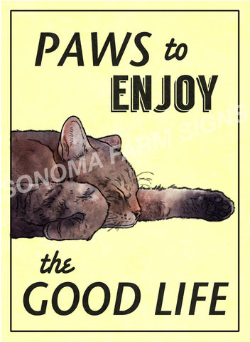 Paws to Enjoy Life